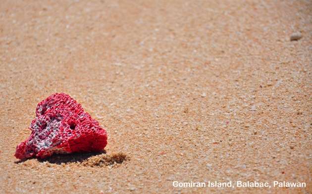 Comiran Island  owes its pinkish sands to this red coral and its kind.